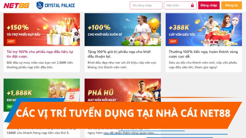 Thông tin về các vị trí được tuyển dụng tại nhà cái NET88